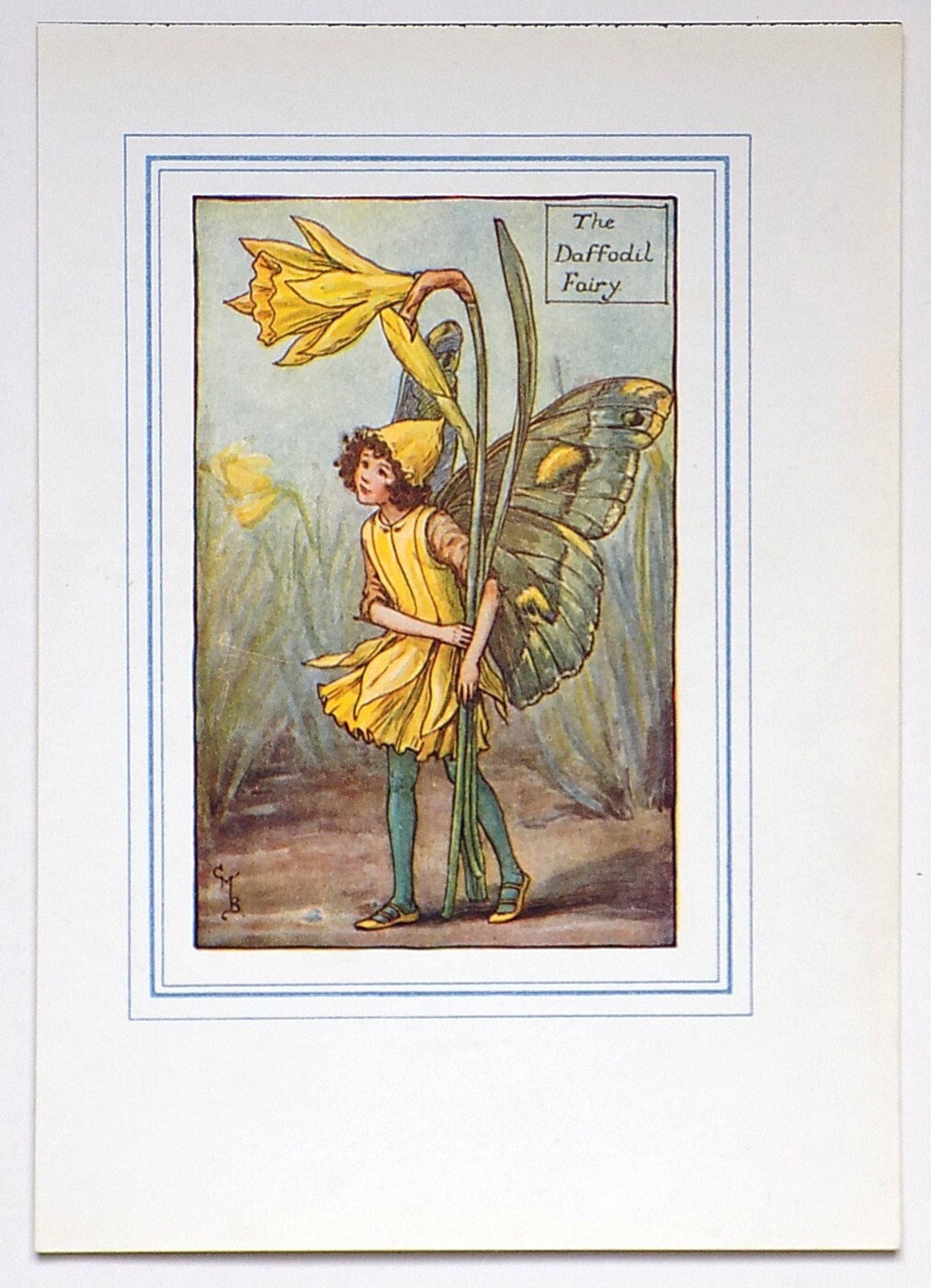 1930 The Daffodil Fairy Original Antique Vintage Print by Etsy