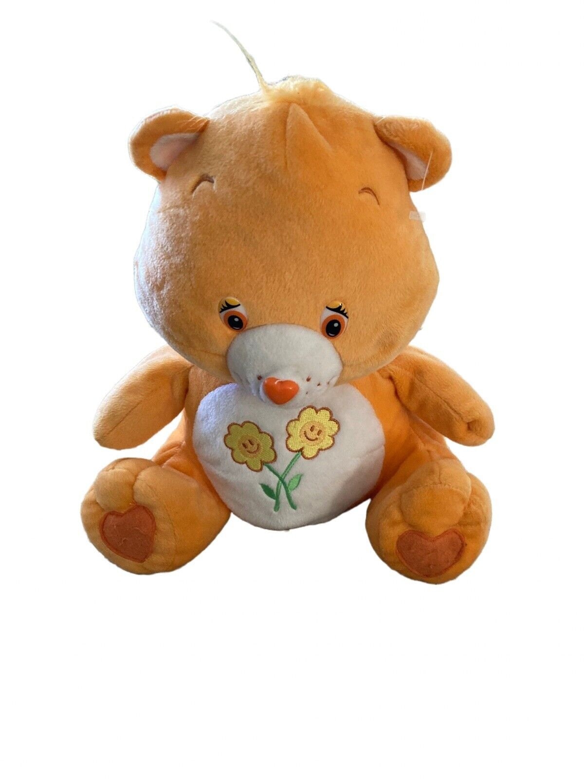 Care Bears Friendship Bear 2003 Flowers Orange Plush 16