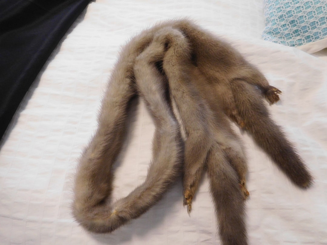 Honette Wide Stole （Natural） French Vintage Real Fox Fur Stole (17339) G72 # - Etsy