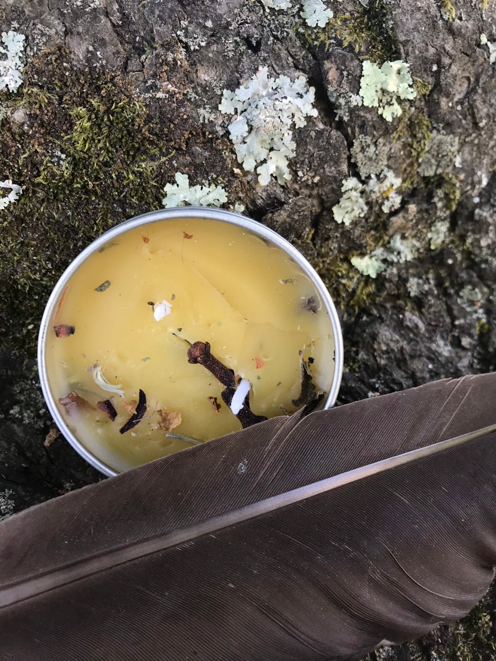 Eagle Spirit Animal Guide Spell Tool Etsy