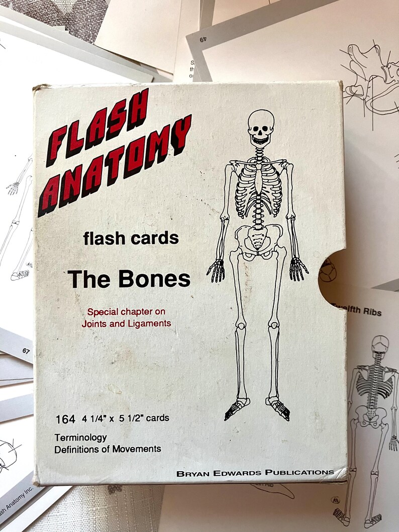Vintage Anatomy Flash Cards Human Body Teaching Etsy