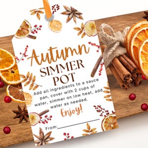 以下が含まれることがあります： 「Autumn Simmer Pot」のテキストと説明が書かれた木製のタグ。乾燥オレンジスライス、シナモンスティック、八角、クランベリーに囲まれています。オレンジ色のリボンが付いています。