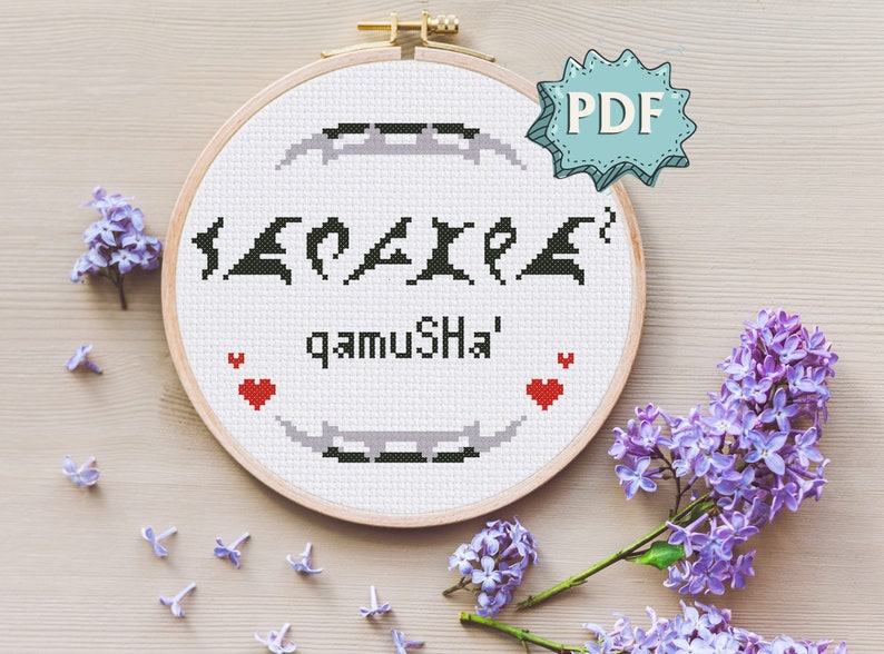 I love you in Klingon qamuSHa' in pIqaD and latin script Etsy