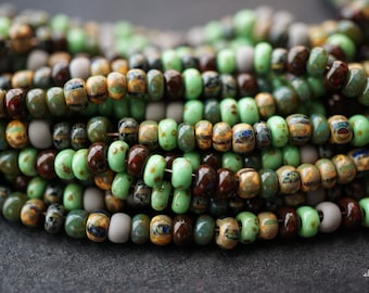 FREE SHIPPING Aged Picasso, Seed Beads, Seed Beads, Beads, AB7