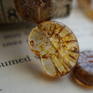 NEW..Nautilus, Snail Beads, Czech Beads, Beads, 123-1sa