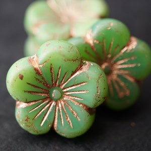FREE SHIPPING Green Beauties, Flower Beads, Czech Beads, Beads, 75-5sa