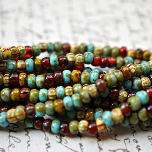 FREE SHIPPING Picasso Carribean Mix, Seed Beads, Seed Beads, Beads, HH3th