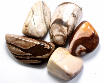 Zebra Jasper - 50g Natural Tumbled Lot