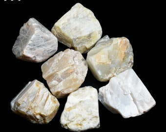 May include: A group of seven white and gray moonstone crystals, some with a slight golden hue, on a black background. X1.