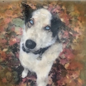 Custom Pet Portrait from Your Photo - Mixed Media Encaustic on Wood - three sizes available!