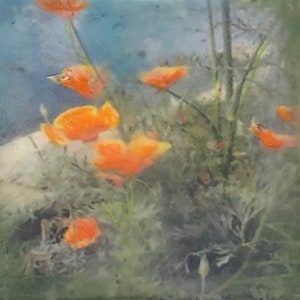 In the Garden - Poppies - Original Encaustic Art