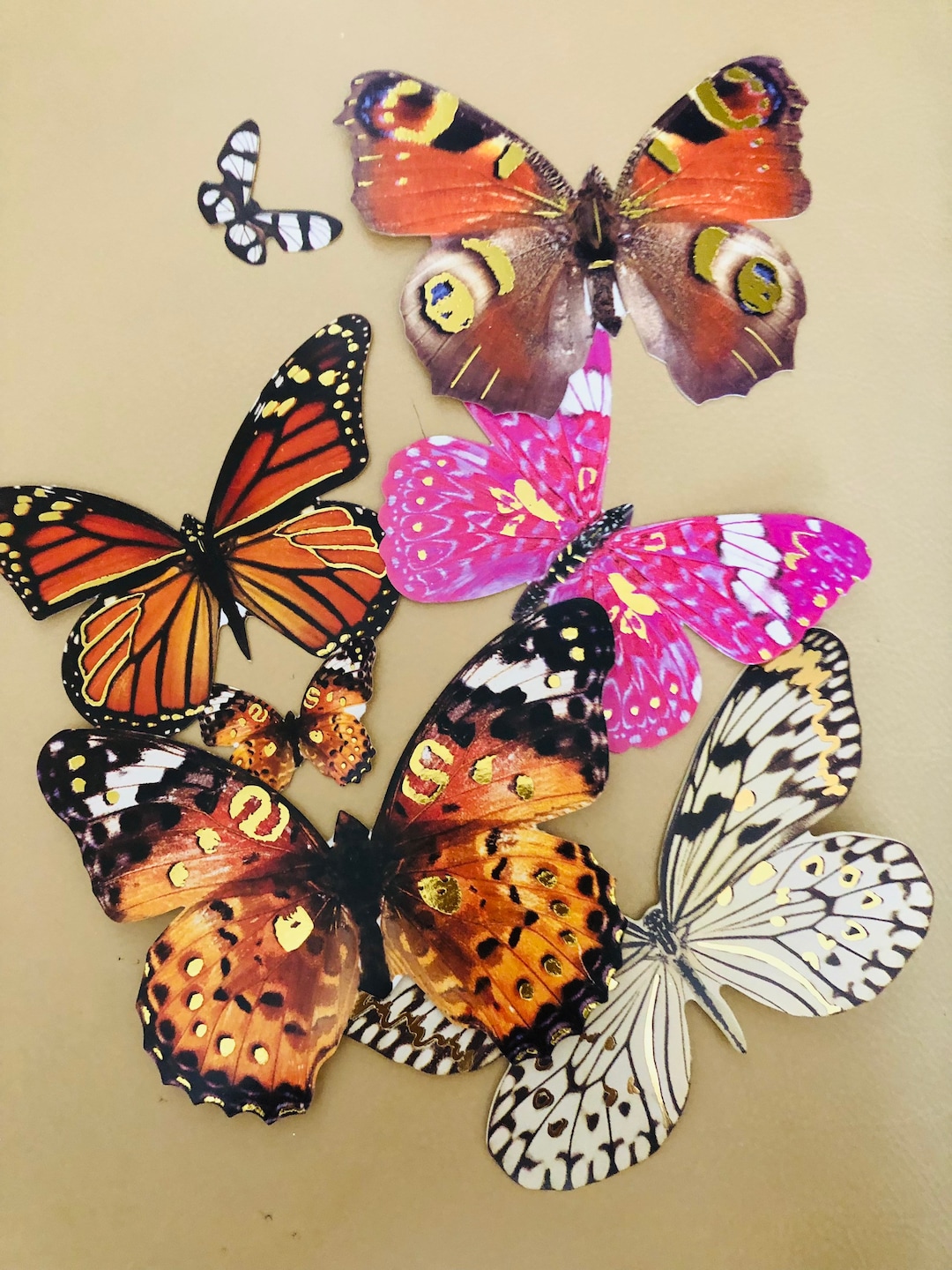 24 BUTTERFLY DIE Cuts. for Crafting Supplies. Paper Butterflies . Ships ...