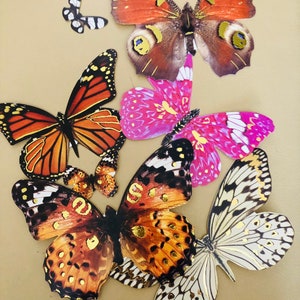 Découpes PAPILLON. Pour les fournitures de bricolage. Papillons en papier, lot de 20 pièces