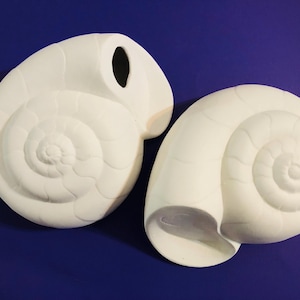 Puede incluir: Dos piezas blancas de decoración mural en forma de concha de cerámica. Una tiene un agujero en la parte superior, posiblemente para una flor o planta. Los detalles en espiral son visibles en ambas piezas, sobre un fondo azul oscuro.