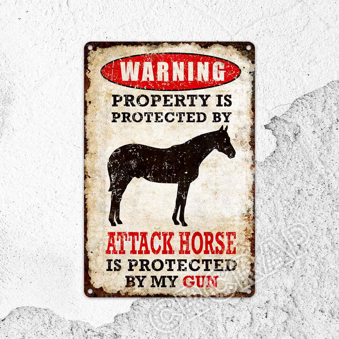 Beware of Horse Metal Sign: Farmhouse Warning Decor - Etsy