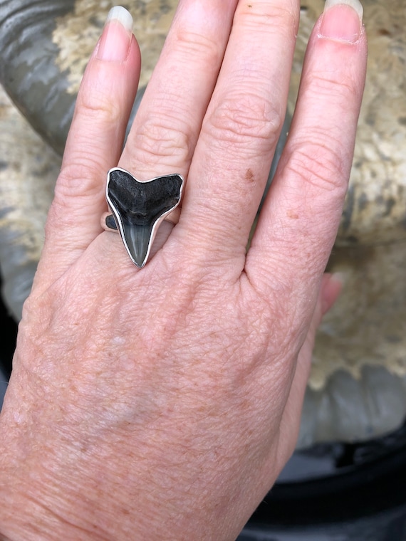 Shark tooth ring