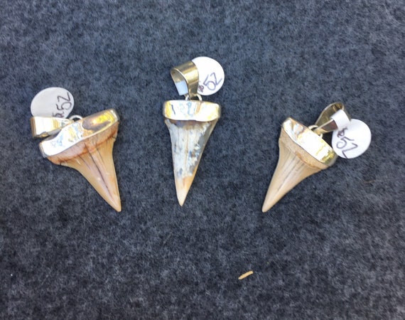 Shark pendant