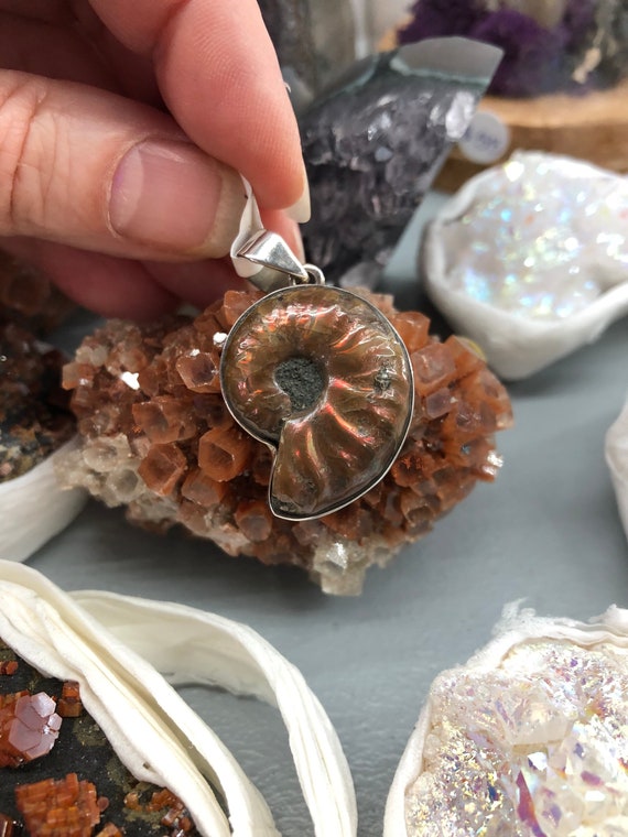 Ammonite pendant