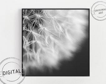 Digital download photograph - Macro dandelion