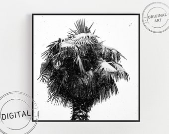 Digital download photograph - Palm tree under the snow