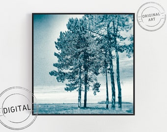 Digital download photograph - Pines