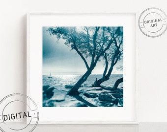 Digital download photograph - Sea view under the pines