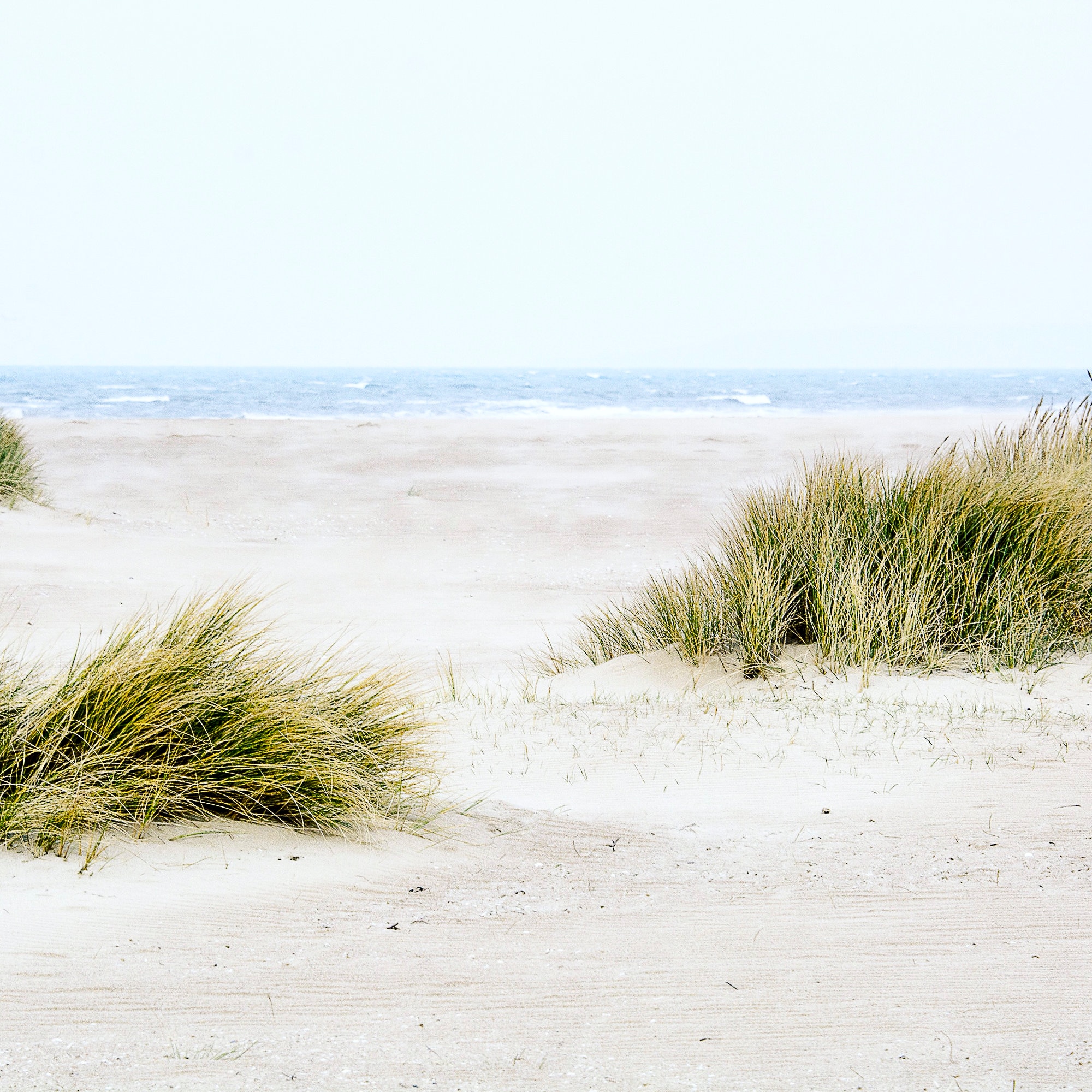 Printable Photograph Nature Beach Digital Download - Etsy