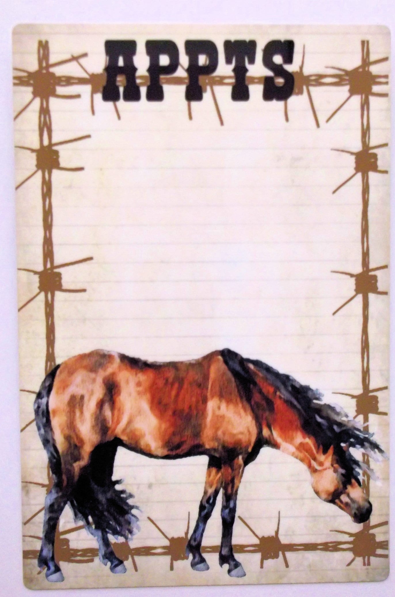 Dry Erase Board with Horse, Bay Horse, Illustration, Stocking Stuffer, Gift under 20, Horse Lover, Rustic, Barbed Wire