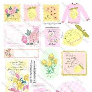Digital-Pink Lemonade Kit