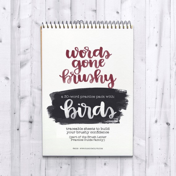 Words Gone Brushy Birds Traceable Brush Letter Practice Etsy