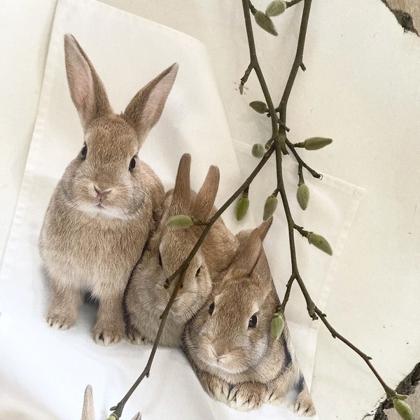 tea towel HASEN* Geschirrtuch/rabbits100% Baumwolle cotton 45 cm x 70 cm