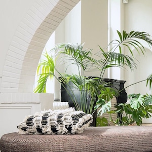 CATCH A GLANCE*cream -black woven Cherli fringed cotton curtain sold by the meter Carlucci by JAB