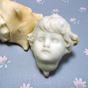 May include: A white porcelain doll head with a detailed face and curly hair. The doll head is sitting on a seashell with a light brown and beige color.