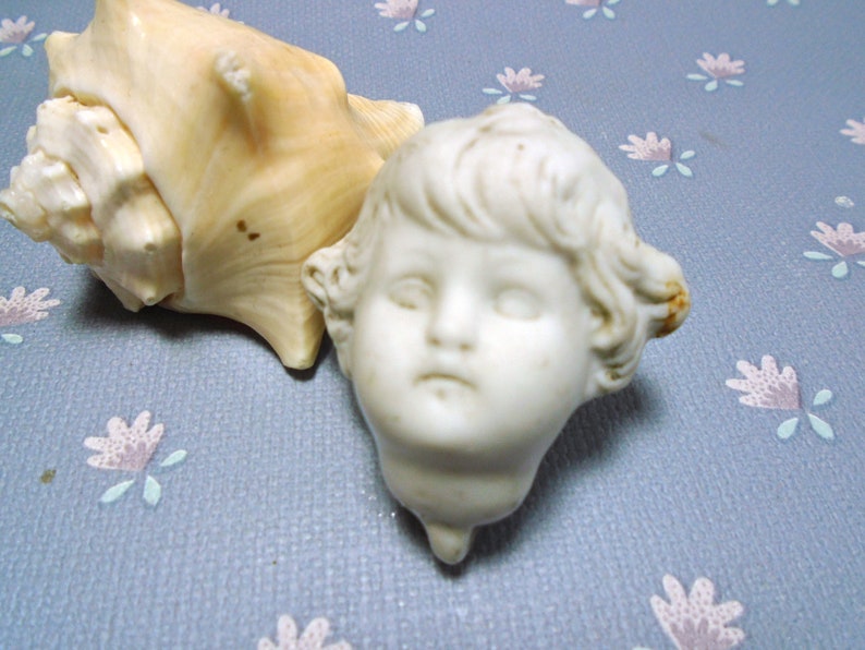May include: A white porcelain doll head with a detailed face and curly hair. The doll head is sitting on a seashell with a light brown and beige color.
