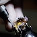 Aleks Jewelry