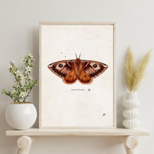 Orange Moth Print, Aquarell & Bleistift, Motte Print, Motte Poster, Motte Wandbild, Motte Poster, Kinderzimmer Dekor, Aquarell & Bleistifte