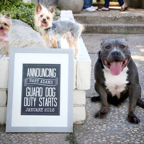 PRINTABLE Announcing Baby Guard Dog Duty Chalkboard Pregnancy Etsy