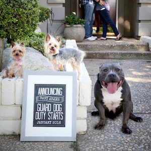 PRINTABLE Anunciando Bebé Guardia Perro Perro Tiza Embarazo Anuncio Photo Prop Sign Cartel / Mascota / Perros / Revelar / Digital JPEG Archivo