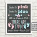 Could Be Pink Could Be Blue All We Know Is That There Are Two | Etsy