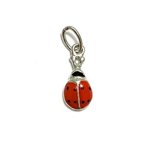 Puede incluir: Un charm de plata con forma de mariquita. La mariquita es roja con puntos negros y tiene un lazo de plata para sujetarlo a una pulsera o collar.