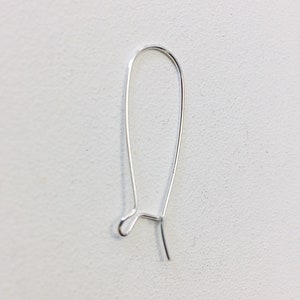 May include: Silver earring hook with a loop at the top and a small hook at the bottom.