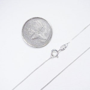 May include: A silver chain necklace with a lobster clasp closure. The chain is delicate and has a fine link pattern. The necklace is displayed on a white surface next to a Canadian quarter.