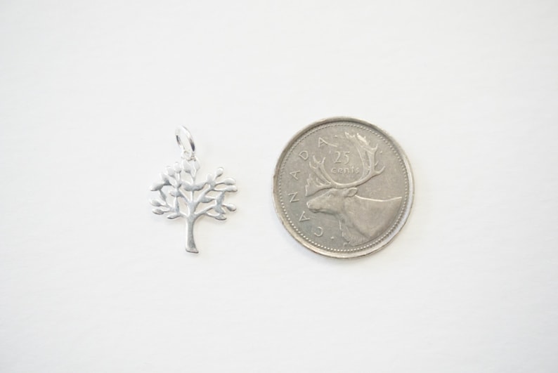 Pu&ograve; includere: Un ciondolo ad albero in argento, mostrato accanto a una moneta canadese da 25 centesimi per il confronto delle dimensioni.