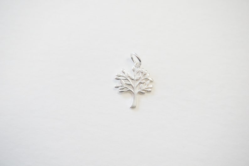 Pu&ograve; includere: Un ciondolo in argento a forma di albero della vita. Il ciondolo &egrave; dettagliato con intricati rami e foglie.