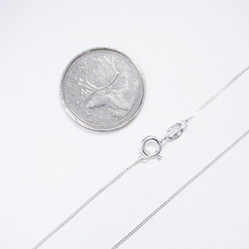 May include: A silver chain necklace with a lobster clasp closure. The chain is delicate and has a fine link pattern. The necklace is displayed on a white surface next to a Canadian quarter.