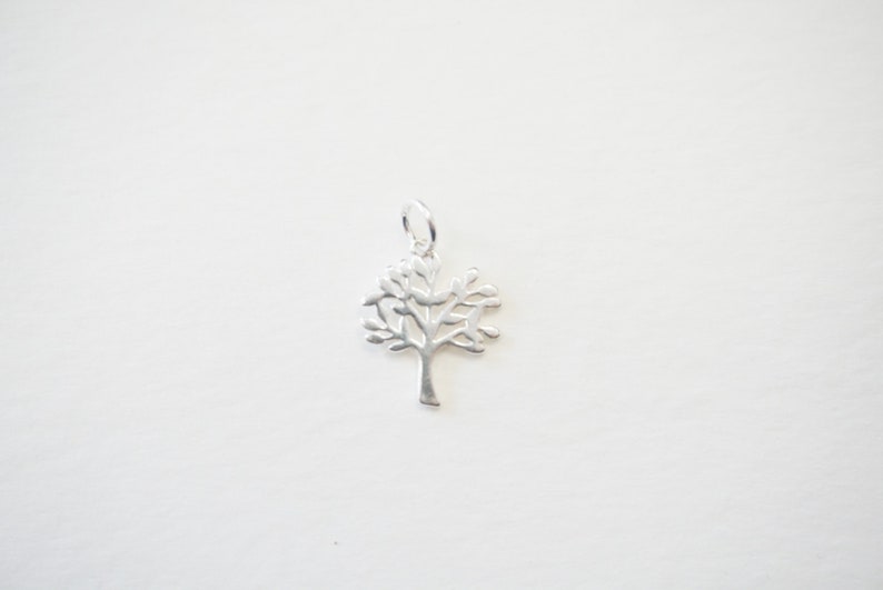 Pu&ograve; includere: Un ciondolo in argento a forma di albero della vita. Il ciondolo &egrave; un design delicato e dettagliato di un albero con rami e foglie.