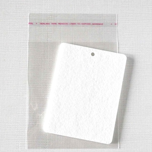 May include: A white, rectangular, blank tag with a hole at the top. The tag is in a clear plastic bag with a red and white sealing tape.