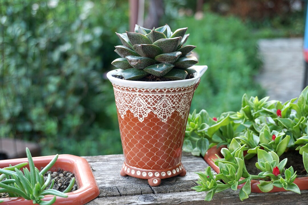 Ceramic Pot, Ceramic Succulent Pot, Hand Made Pot, Cute Plant Pot, Pot