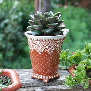 Op de afbeelding: Een vetplant in een bruine keramische pot met witte kantdetails. De pot heeft drie poten en is versierd met een bruin en wit patroon.