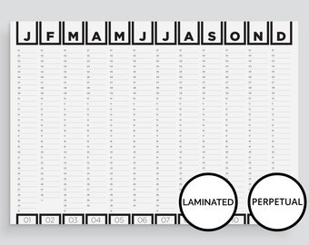 PERPETUAL LAMINATED A1 Wall Planner | Outline | Year-On-Year Planner